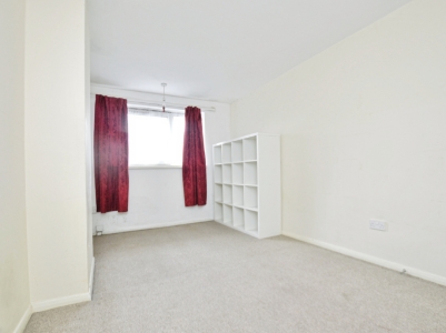 Picture 15